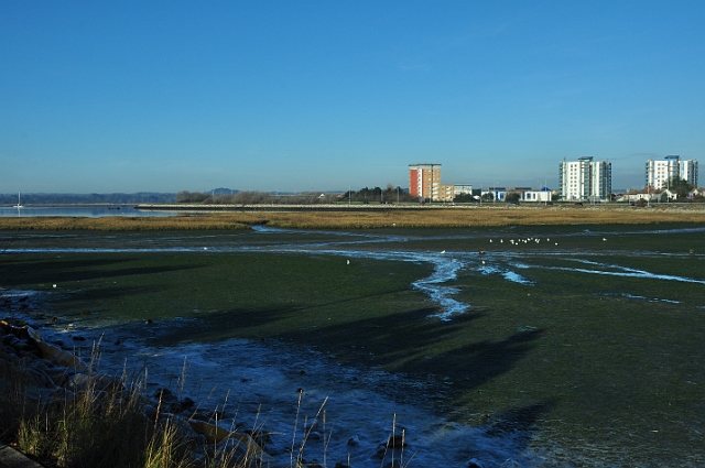 30 12 14_0153.JPG - DWT WALK - HOLES BAY, POOLE HARBOUR DORSET - 30.12.14
